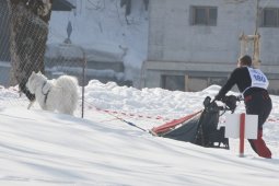 Lenk 2012 SM